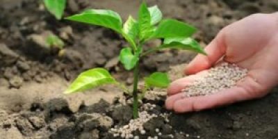 El Plan Nacional de Fertilizantes de Brasil podría lanzarse este mismo año.